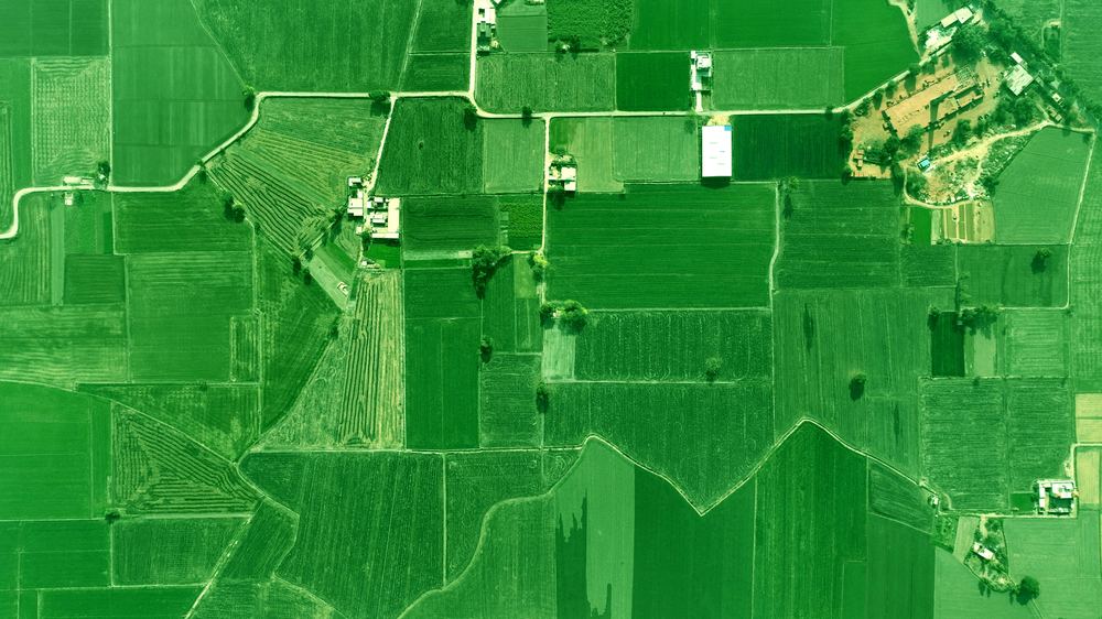 Vedere aeriană a unor parcele cultivate